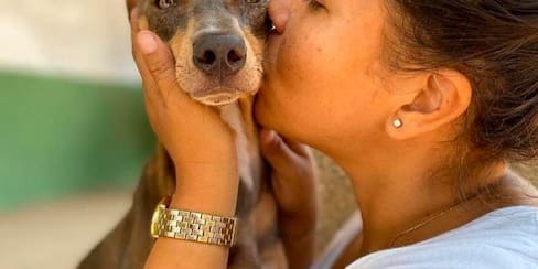 La mujer que rescata a perritos callejeros en Cartagena
