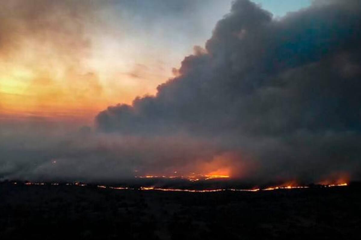 Controlado incendio forestal en el parque Isla Salamanca