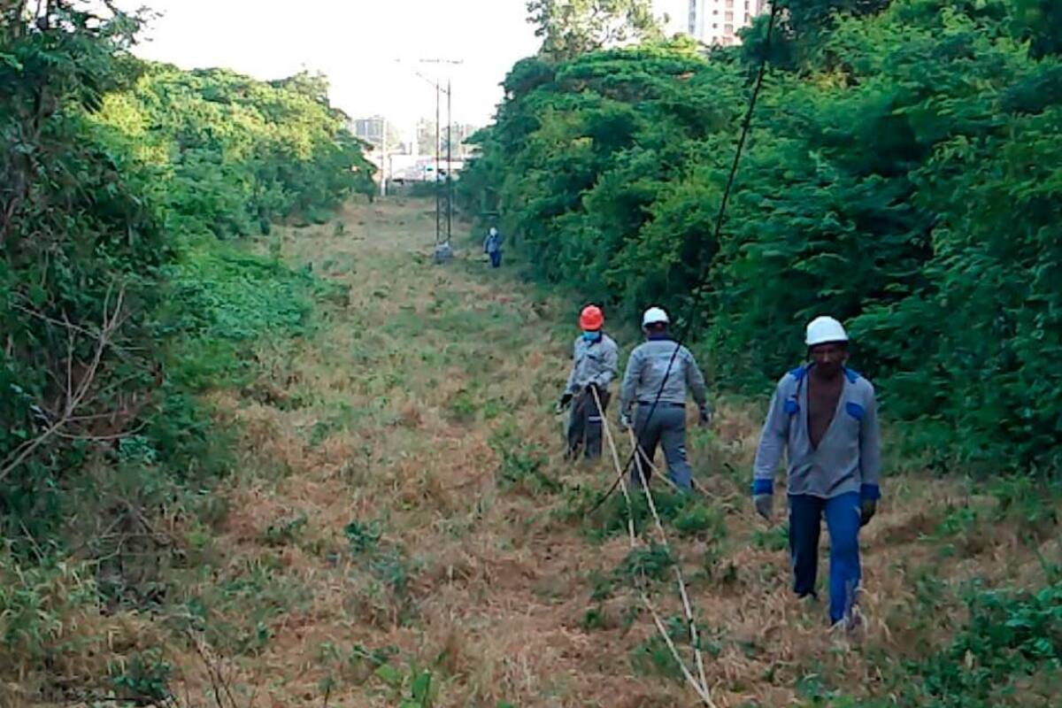 12 horas sin luz en Bolívar por culpa de la delincuencia