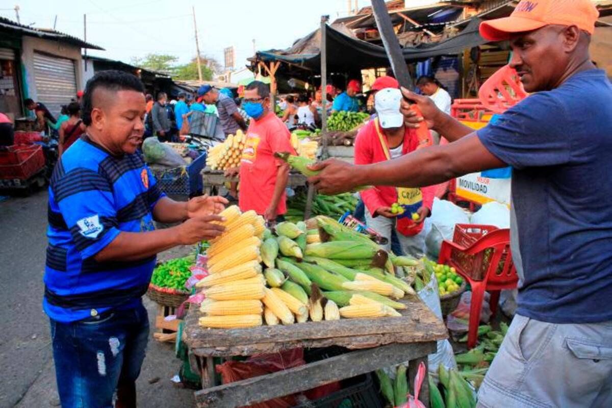 Gobierno entregará $160 mil a trabajadores informales durante cuarentena