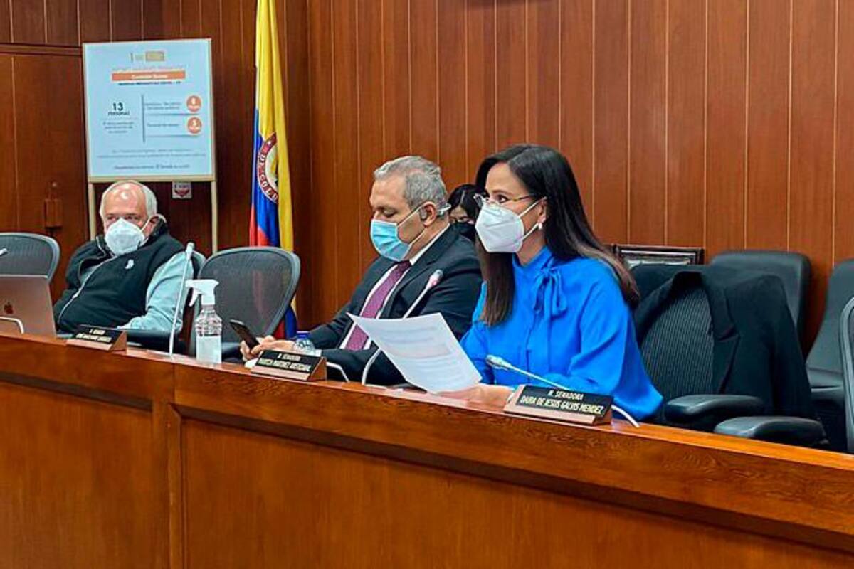 Sigue polémica sobre supuesta decisión del gobierno de vender electrificadoras
