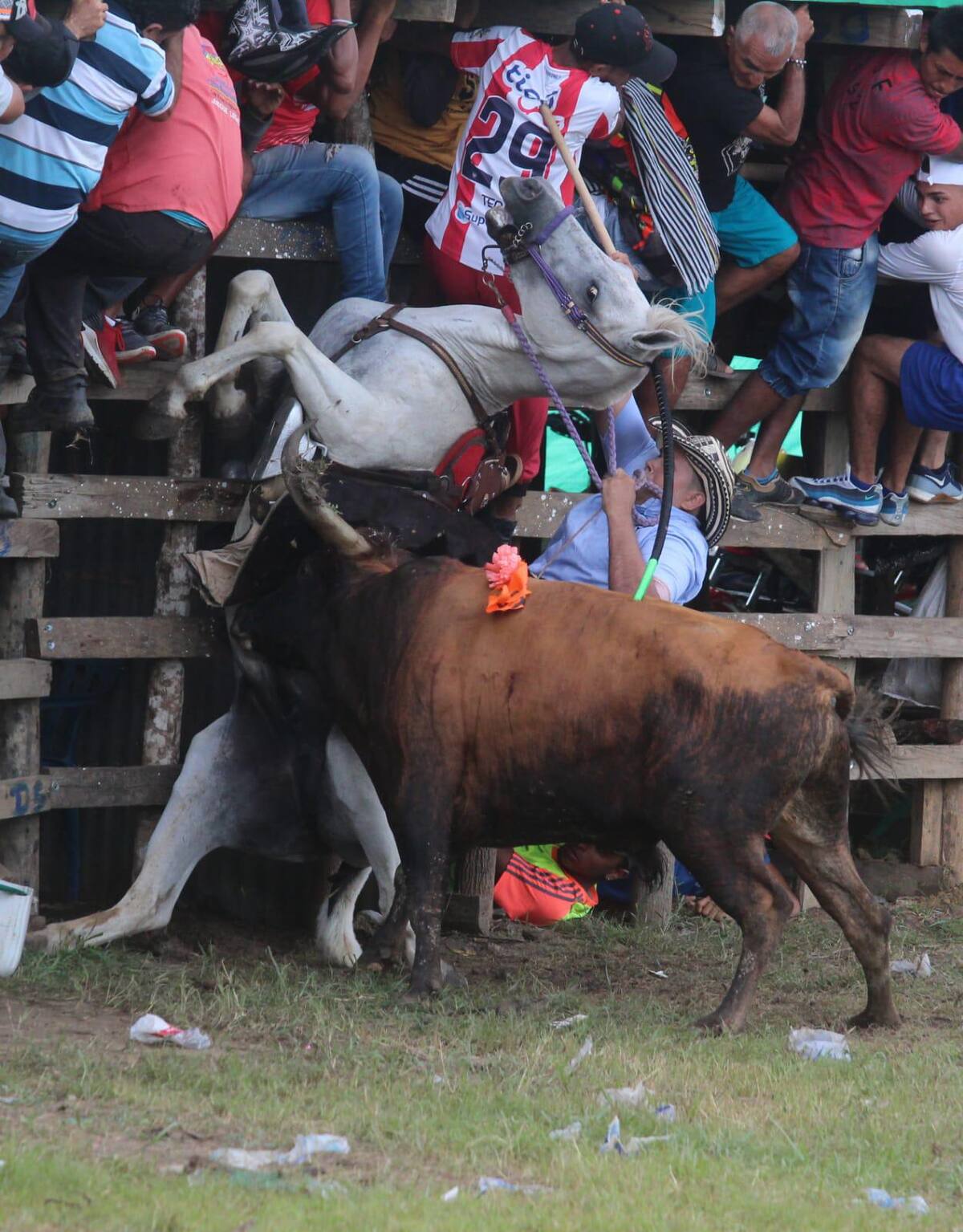 El caballo del garrochero Marcos Paternina resultó herido por el toro. // Manuel Santiago Pérez.