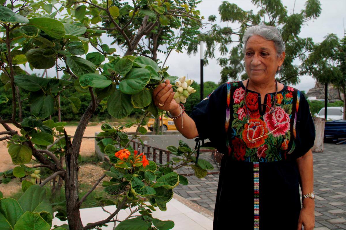 Rosita Díaz, precursora de Ángeles somos.