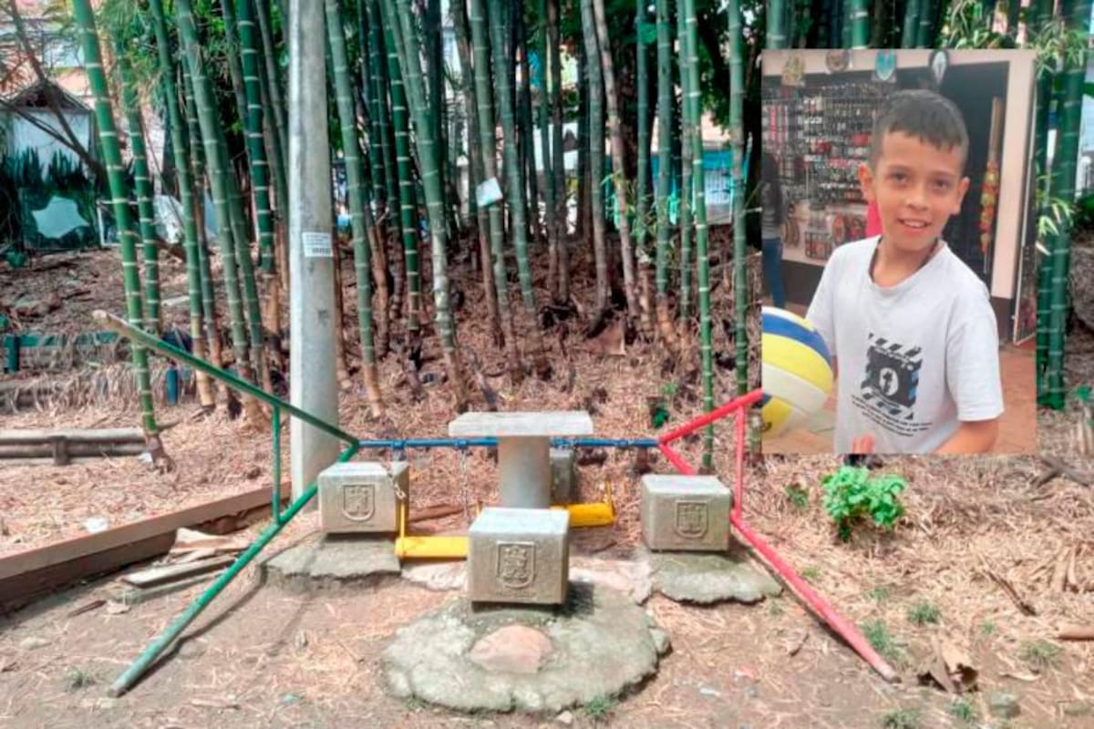 Niño jugaba en columpio: la deteriorada estructura se cayó y lo mató