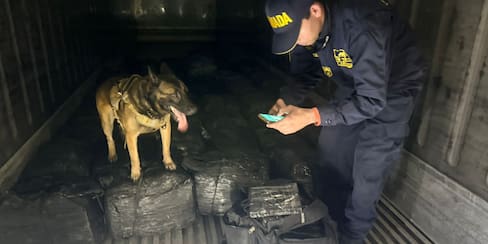 Duro golpe a los narcos: Armada incauta contenedor que llevaba droga para Europa