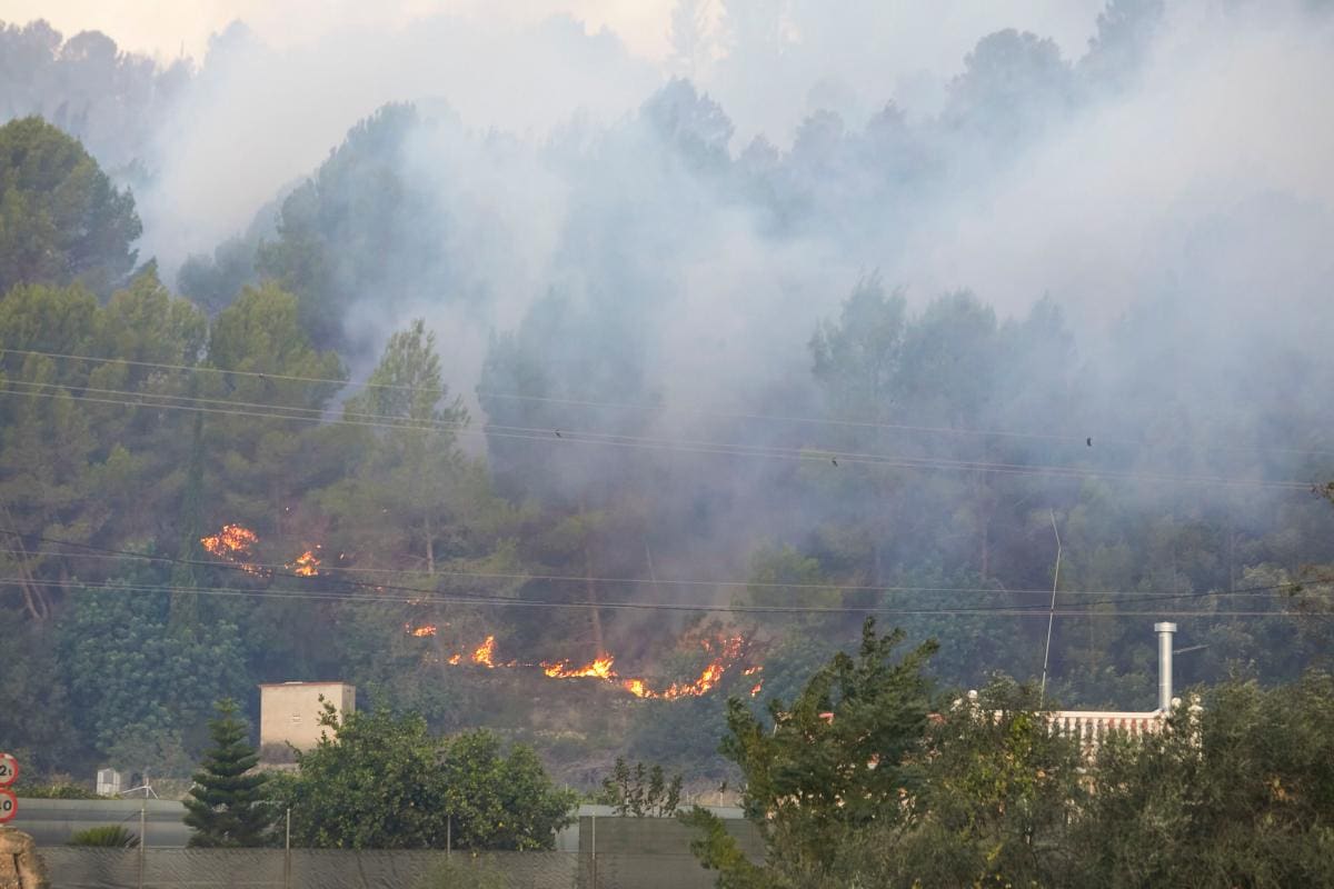 Video: incendio en Valencia lleva arrasadas unas 2.000 hectáreas