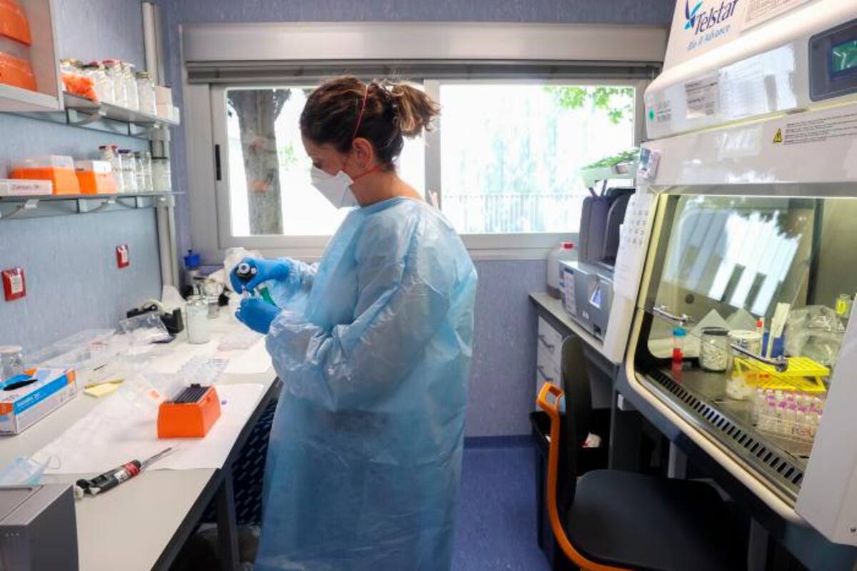 OMS: Viruela símica no será pandemia; aún hay incógnitas