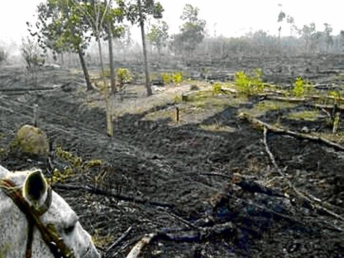 Un incendio forestal arrasó 150 hectáreas en el sur de Córdoba, el cual se originó por prácticas agrícolas inadecuadas como la quema controlada, la cual se salió de manejo.