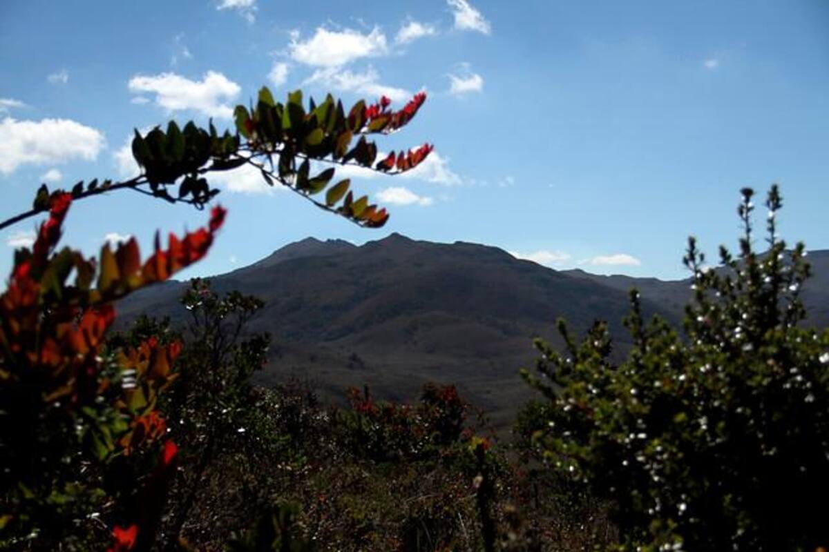 Retomarán discusión de prohibición de la explotación minera de páramos