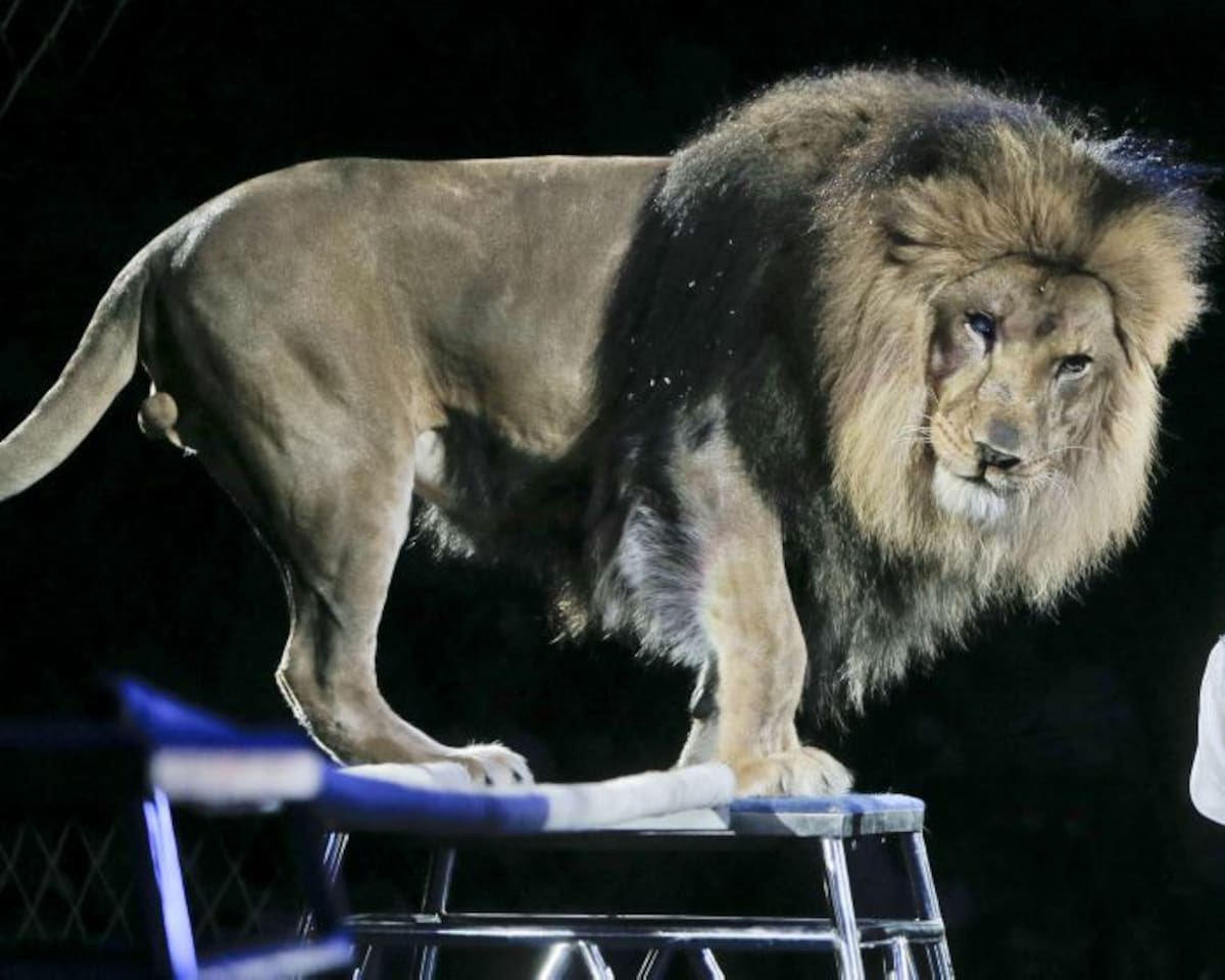 Foto ilustración. AP Efrem Lukatsky