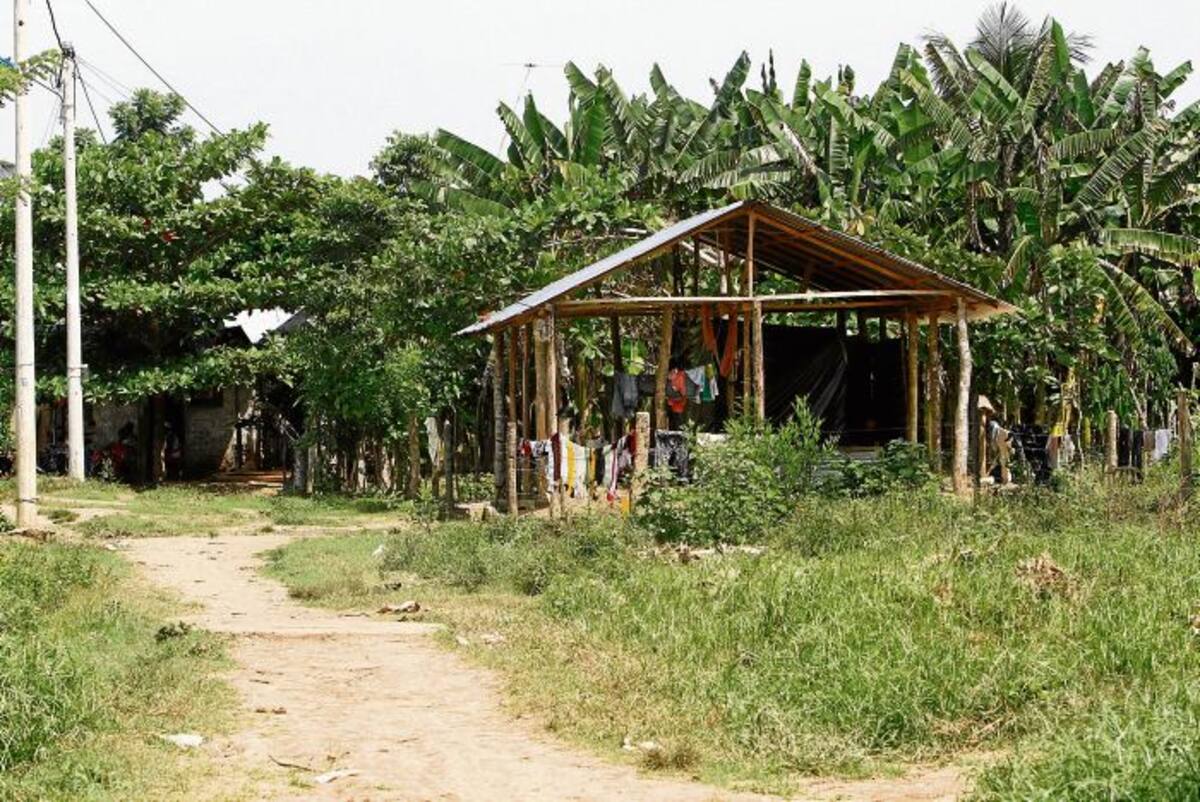 Cecilio vive en algún pueblo del Caribe colombiano.