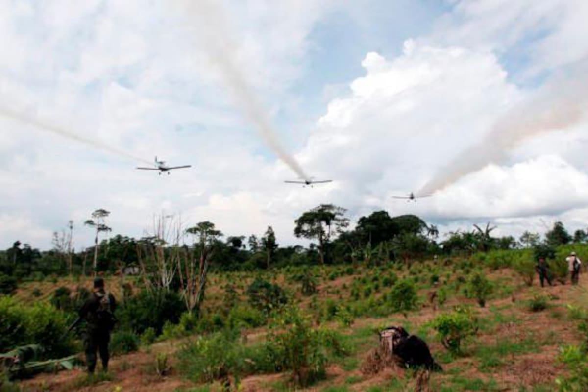 El impacto del glifosato en los campesinos de Bolívar