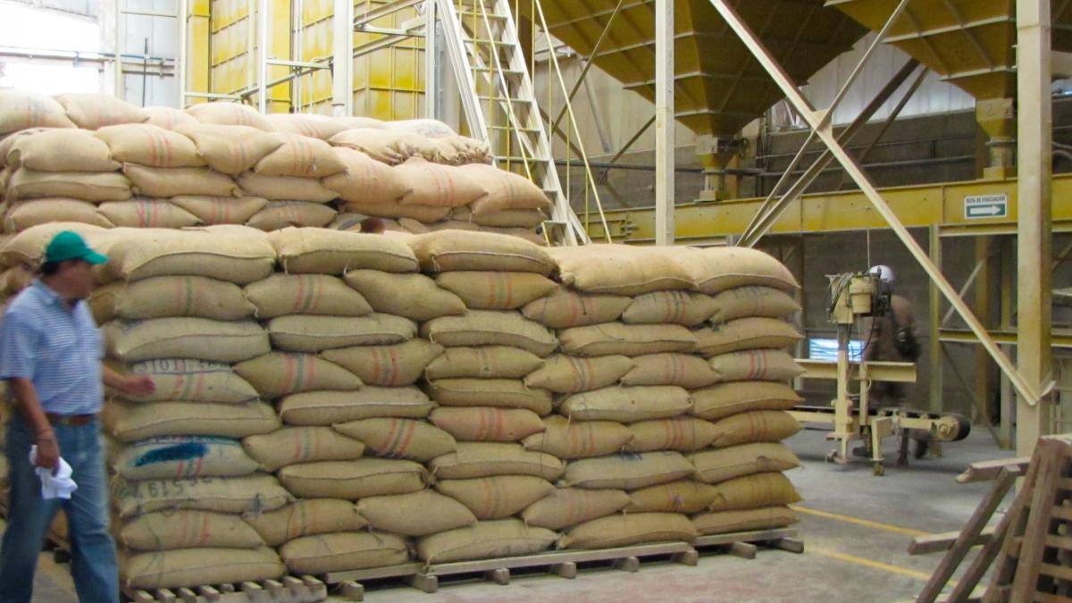 Almacenamiento de arroz en los Llanos Orientales. // HFA-EU