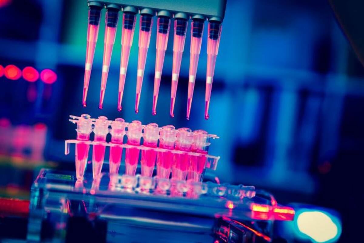 Se han reportado casos de melanoma metastásico y cáncer de pulmón que gracias al tratamiento de la inmunoterapia han desaparecido por completo. 123RF