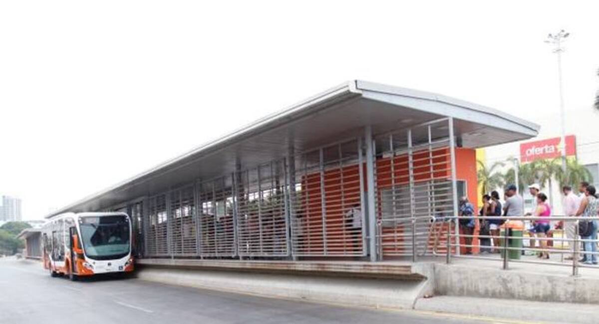 Tu y yo, Palmerita, y Durante, son algunas de las especies que serán sembradas en estos jardines verticales, ideales para clima seco. //Aroldo Mestre Alcántara-El Universal.