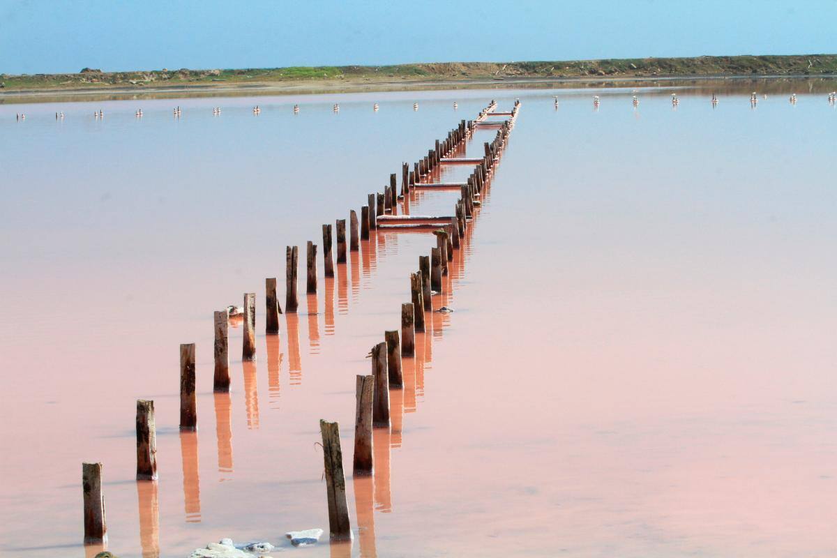¿Qué es lo que está pasando en las salinas de Galerazamba?