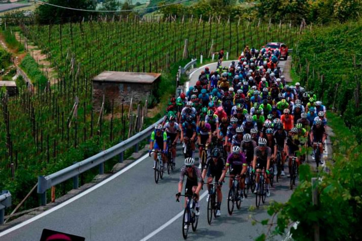 ¡Hicieron trampa! 31 ciclistas fueron descalificados del Giro sub 23