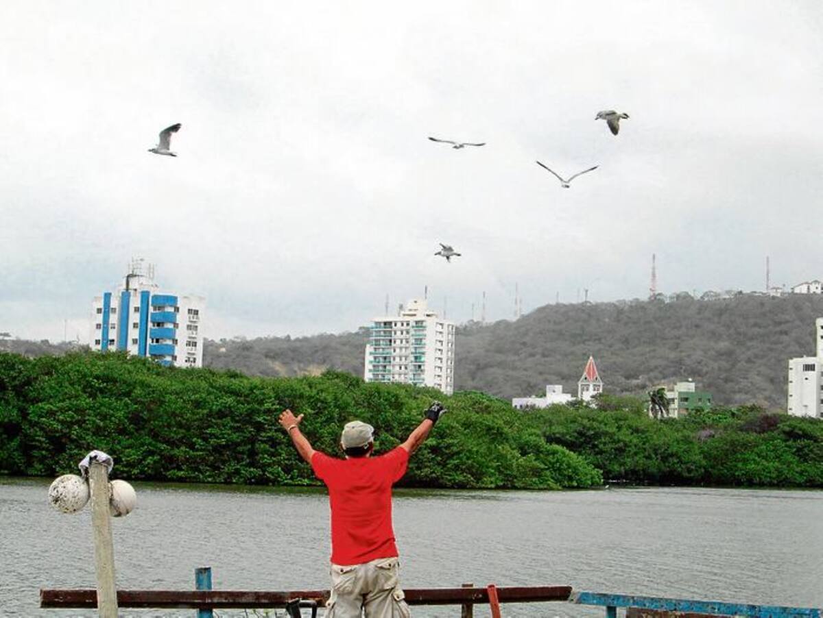 PEDRO TORRES, GENTE BAHÍA - EL UNIVERSAL