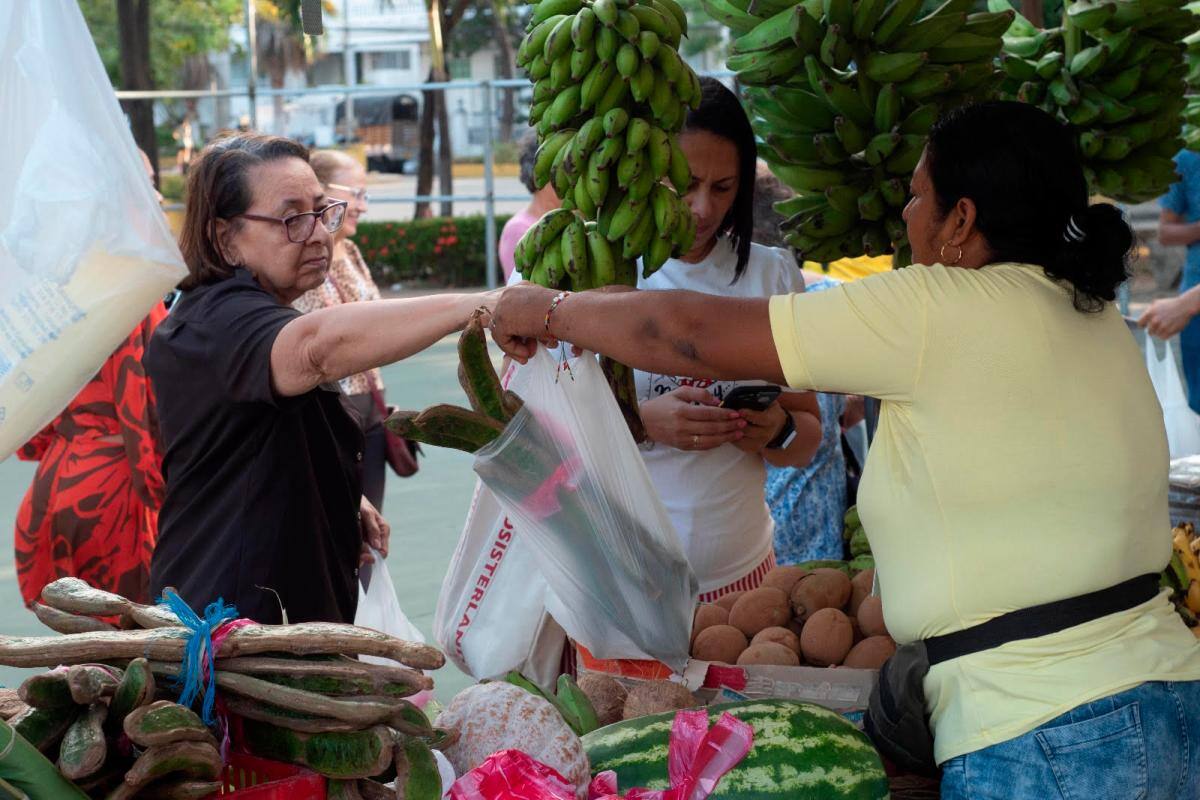 Nueva alianza para apoyar a los campesinos de Bolívar