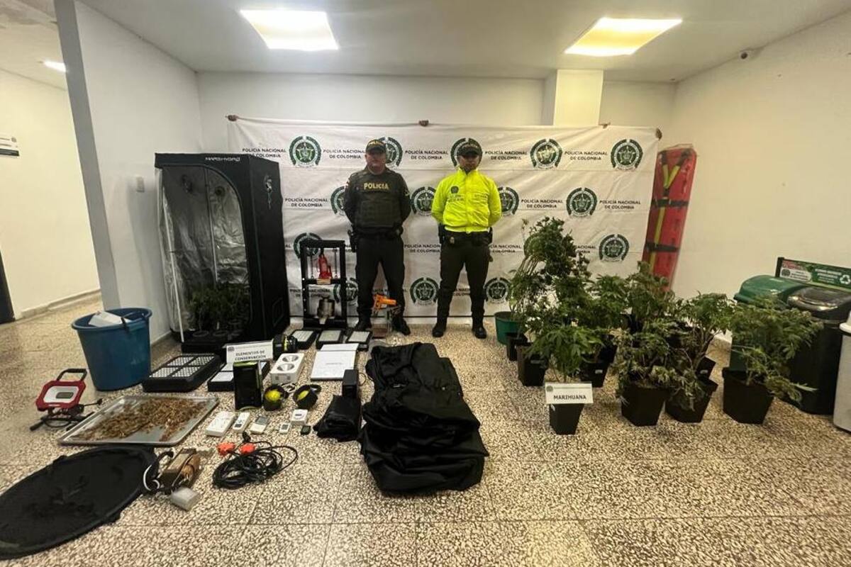Encuentran cultivo de marihuana en un apartamento en Barranquilla