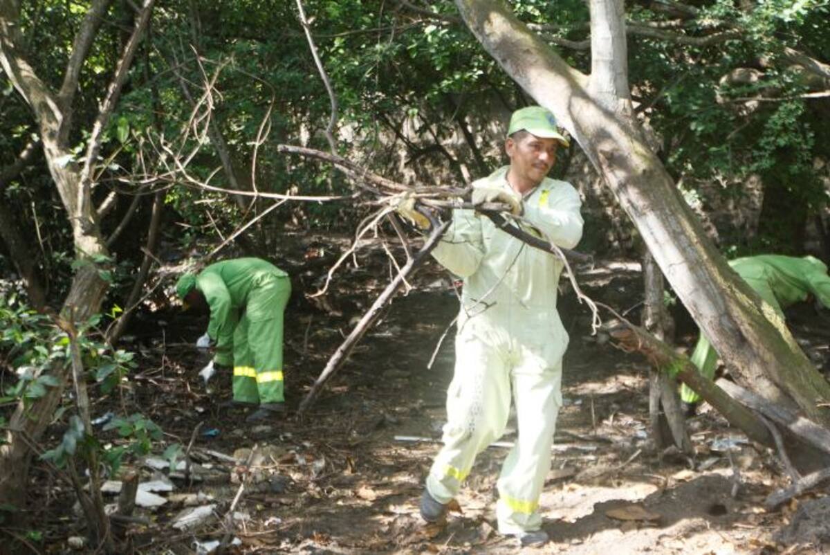 Más de 60 personas, entre operarios y vecinos, realizaron ayer una jornada ambiental de limpieza al área externa del manglar que rodea el barrio Manga. Julio Castaño El Universal