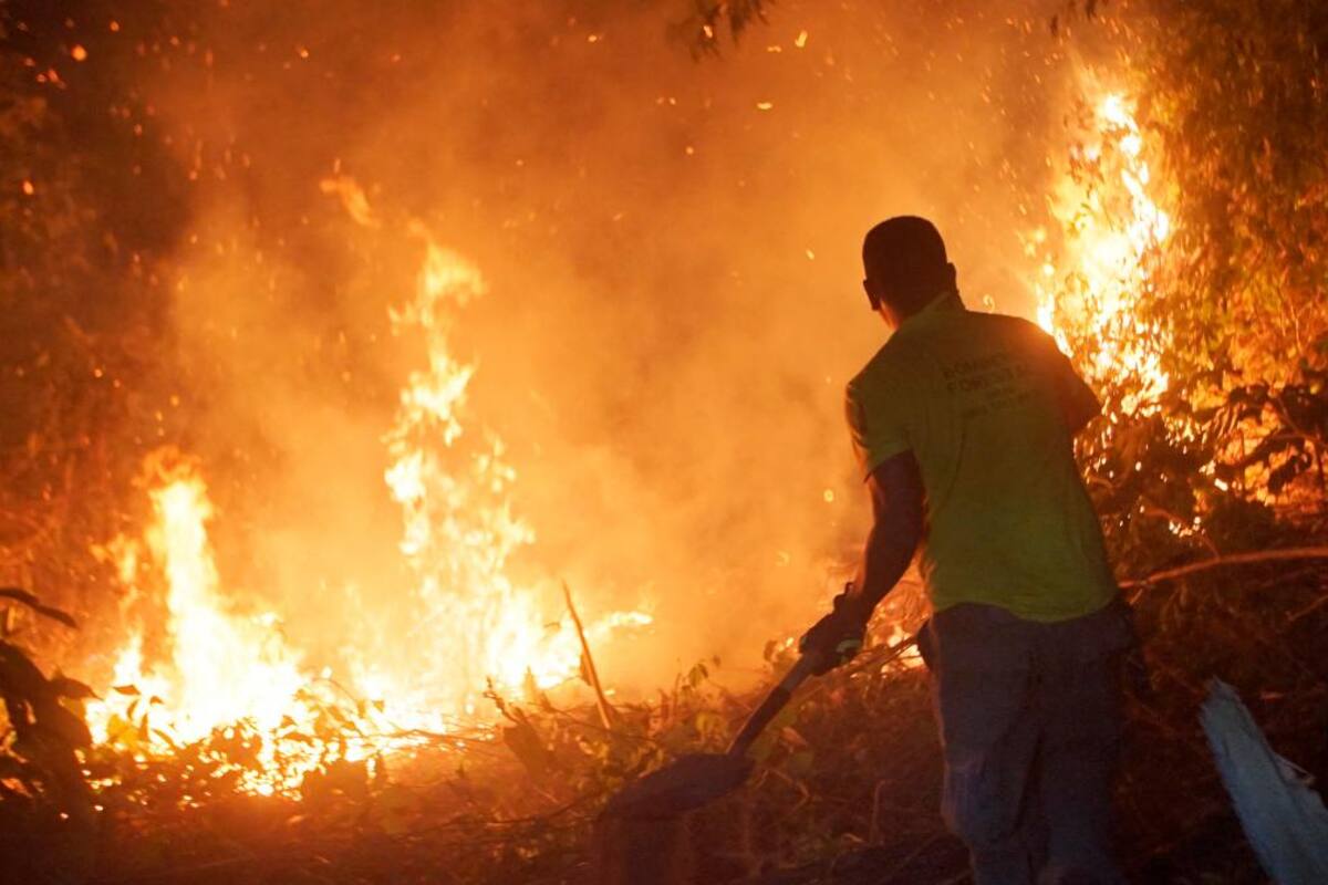Aumenta amenaza de los incendios forestales en Latinoamérica