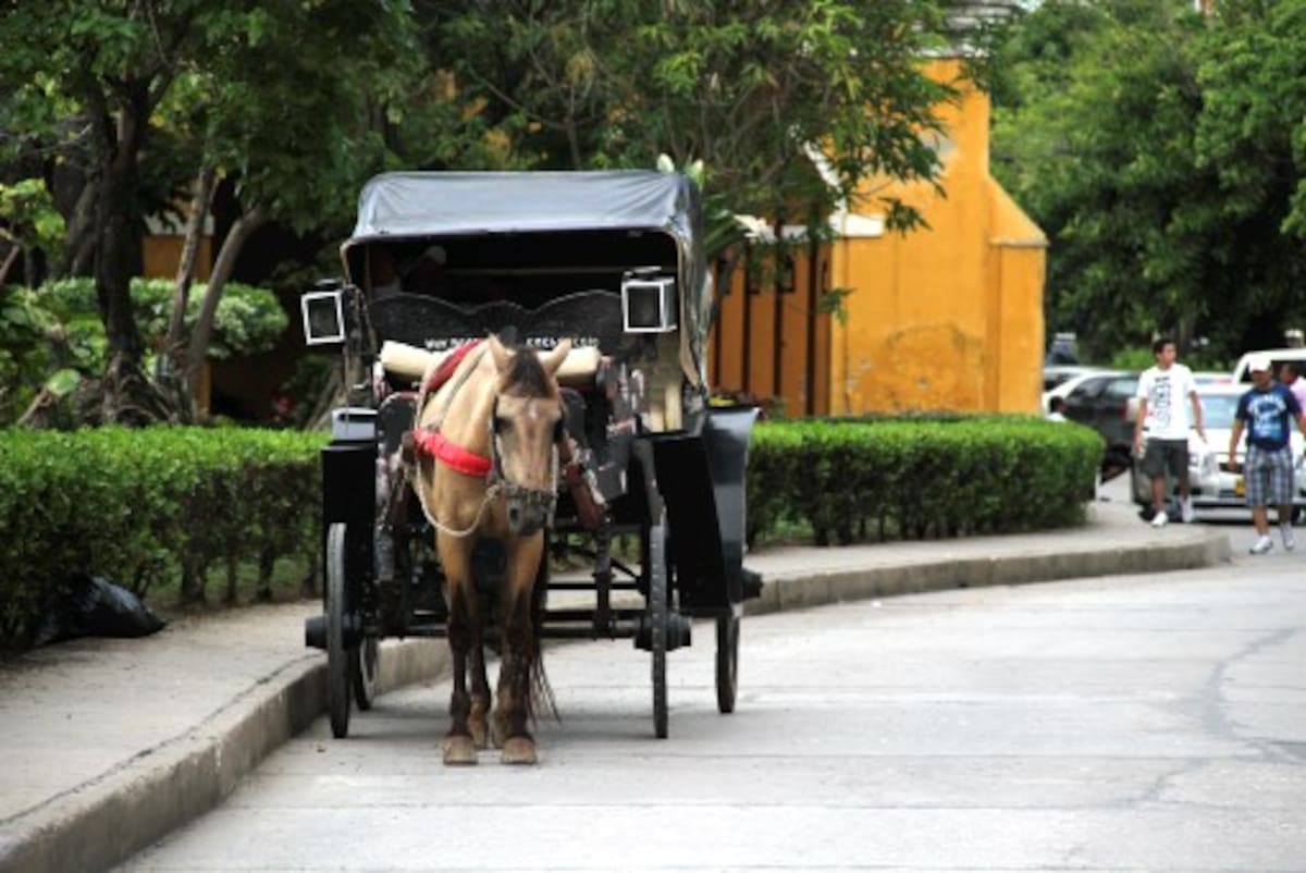 Los tradicionales coches rojos están siendo reemplazados por negros, lo que también hace que se pierda la tradición.