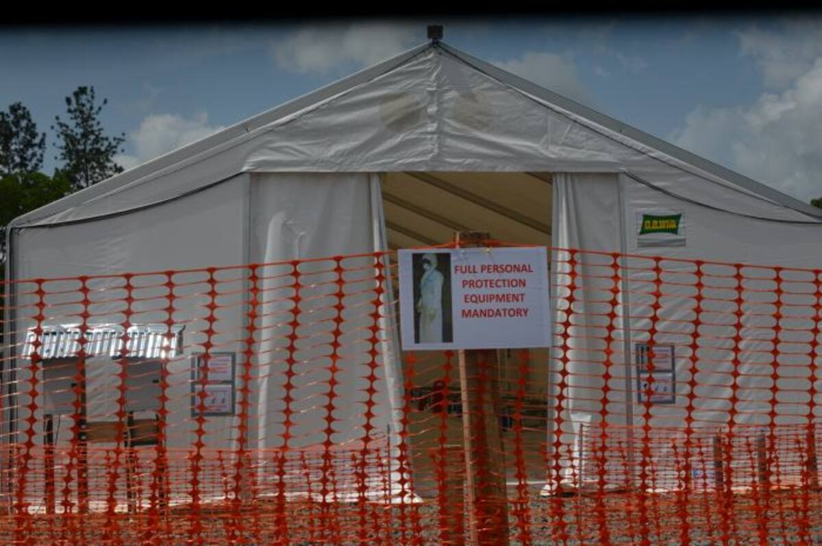 El contagio se produce por contacto directo con la sangre, los líquidos biológicos y las secreciones del sujeto infectado. AFP ZOOM DOSSO