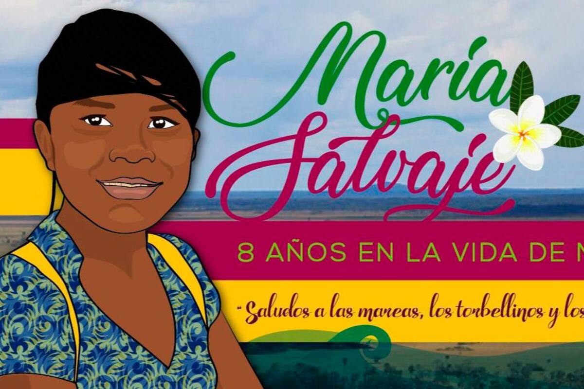 El 2023 fue el año con más películas colombianas estrenadas en cine