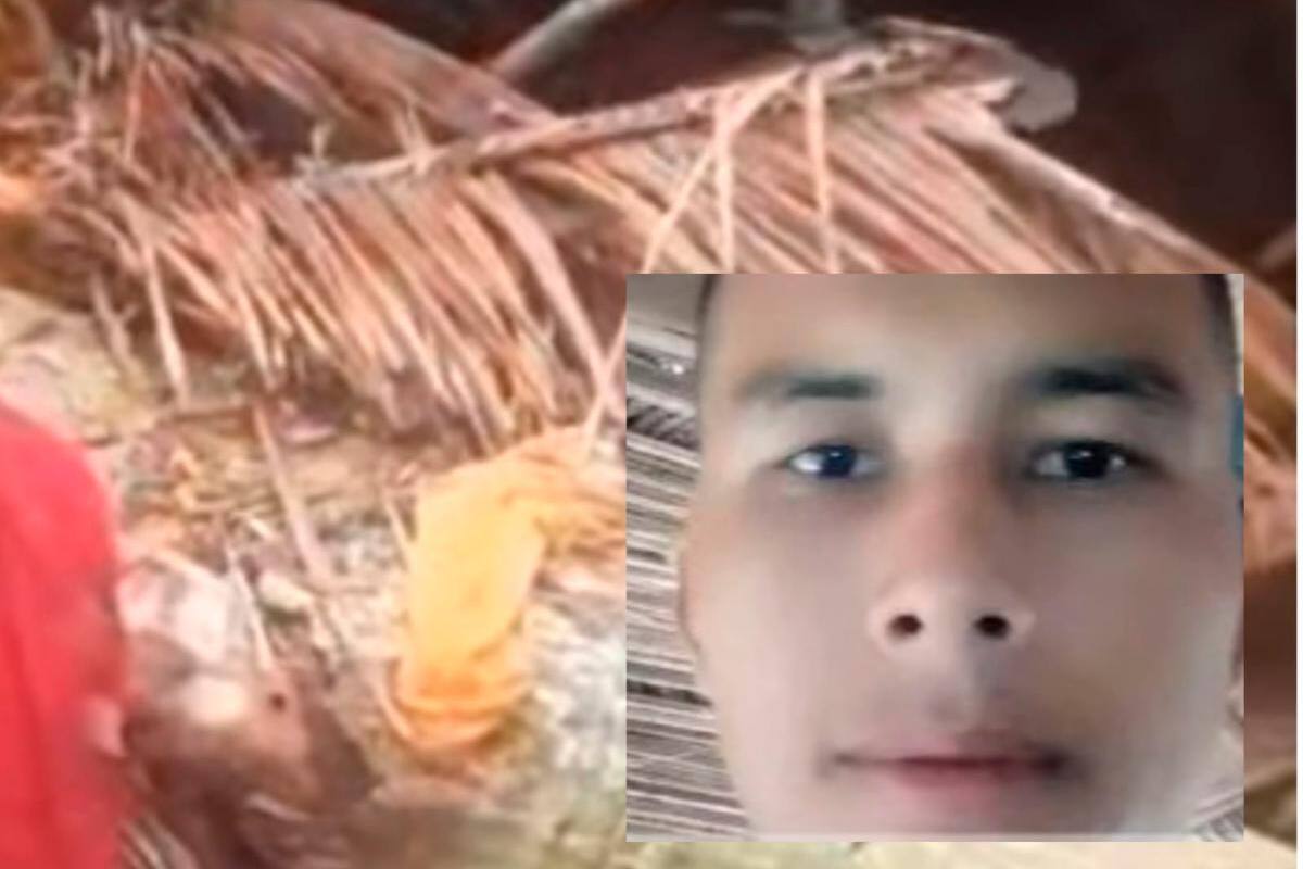 Le cayó ceiba mientras dormía y murió: niña de 8 meses está hospitalizada