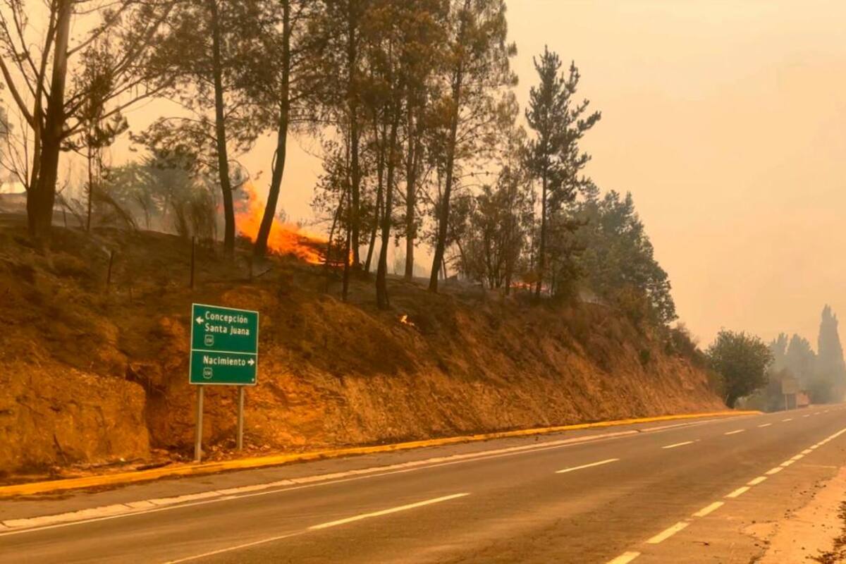 Chile pide ayuda internacional para enfrentarse al incendio forestal
