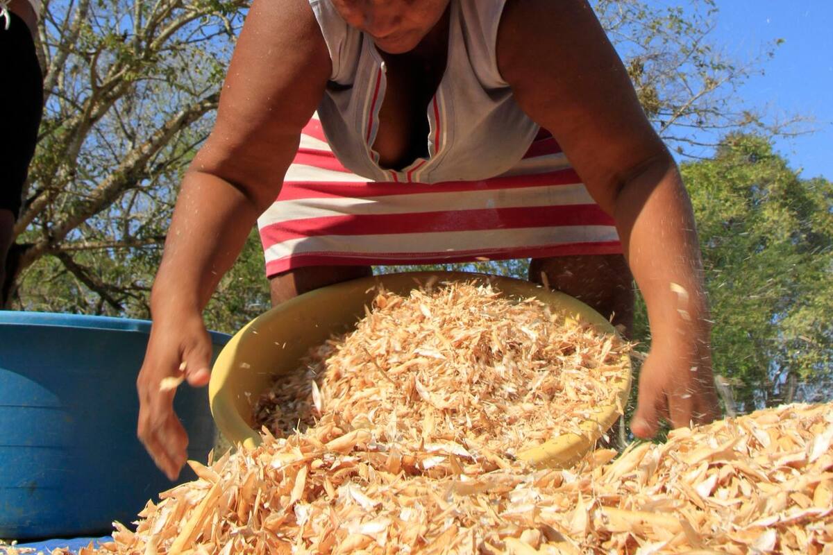 ¿Quieres ser agroempresaria?: CCI busca ideas de negocios en el campo
