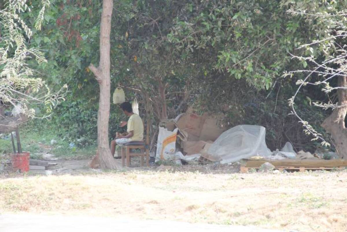 Cambuches en la Avenida del Lago ÁLVARO CÁRCAMO OYAGA.