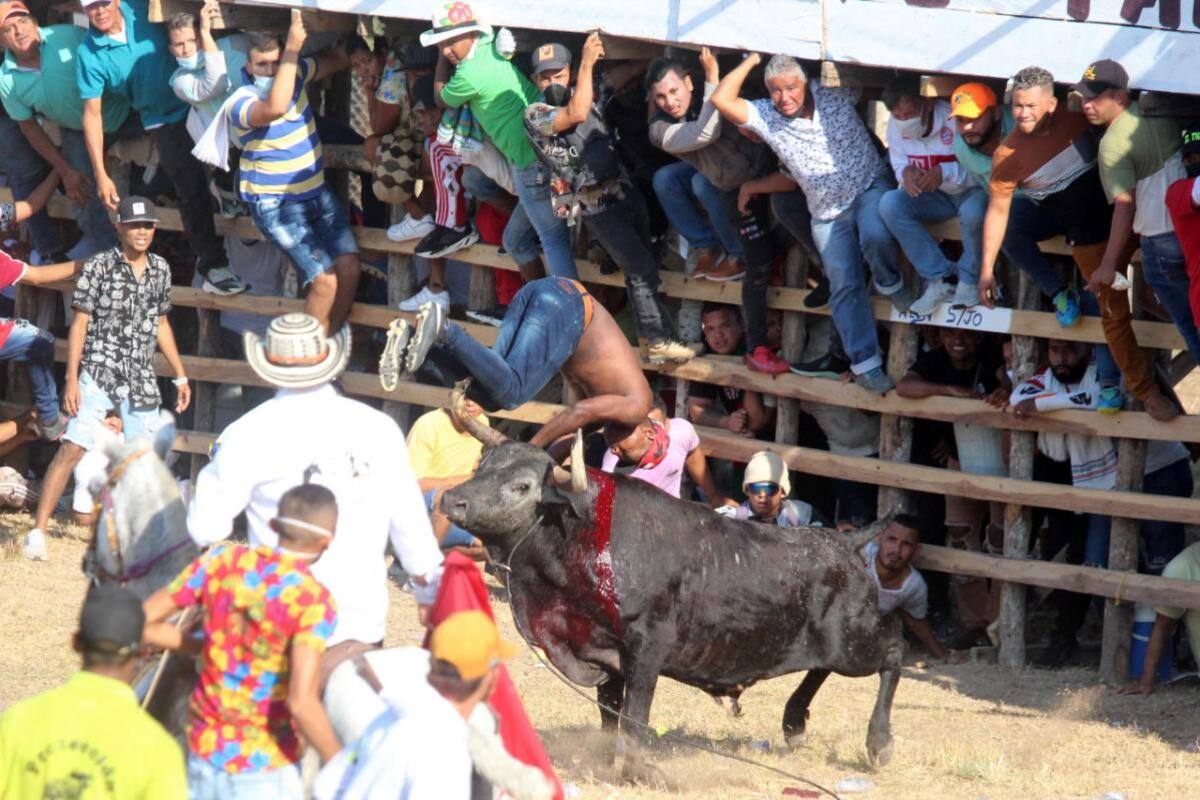 Galería: Fiesta Brava del 20 de Enero en Sincelejo