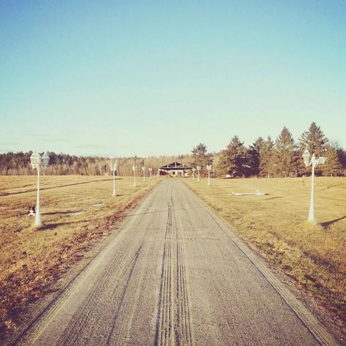 INSTAGRAM - ANDREWKNAPP