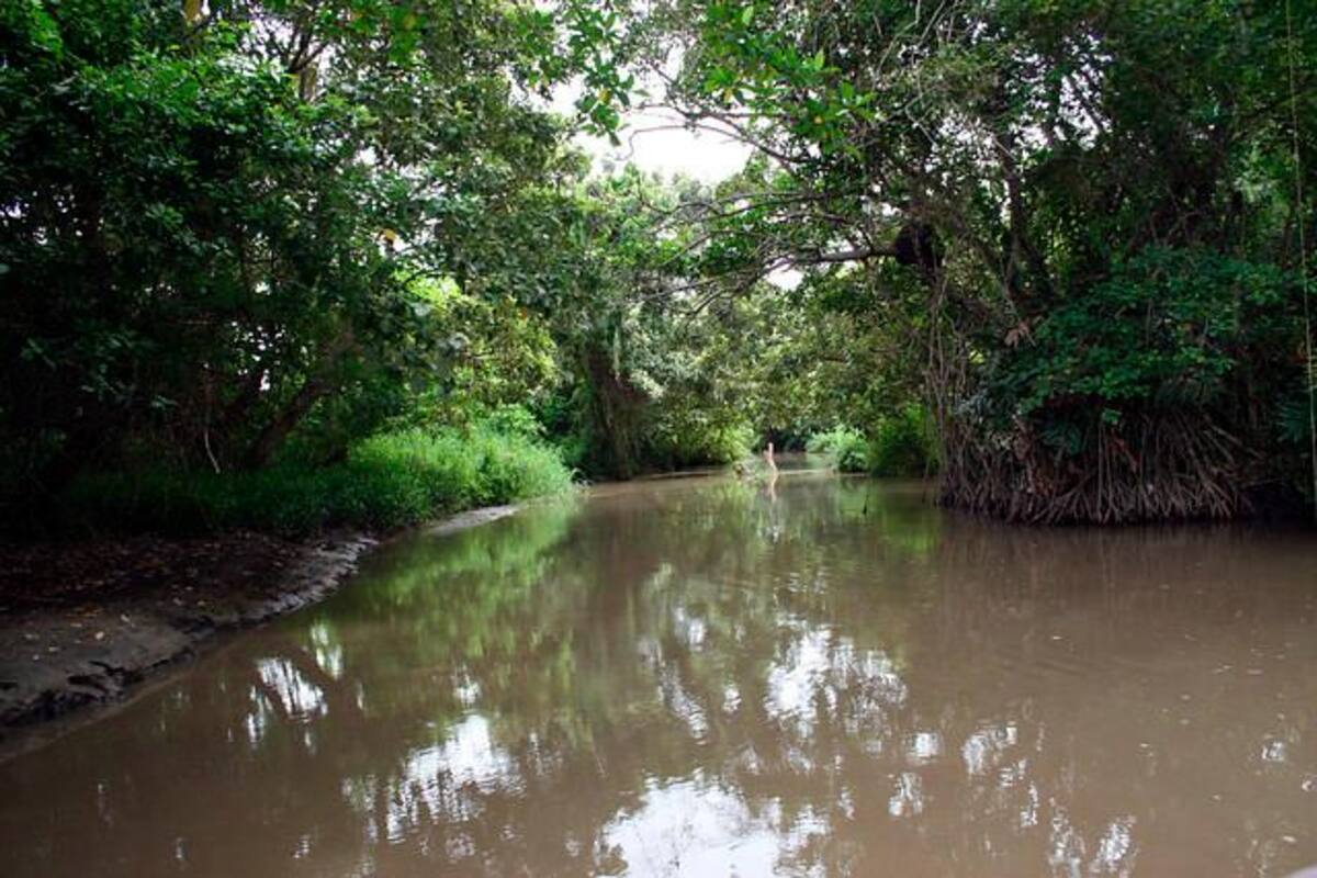 Ordenan a la Presidencia de Colombia proteger el Parque Isla de Salamanca