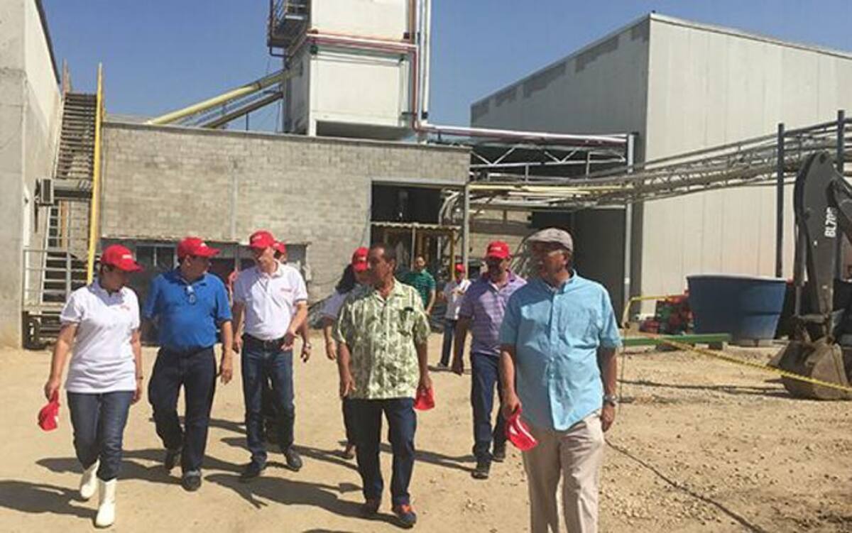 Recorrido por un sector completamente renovado de la planta de Indupollo en El Campestre. Cortesía