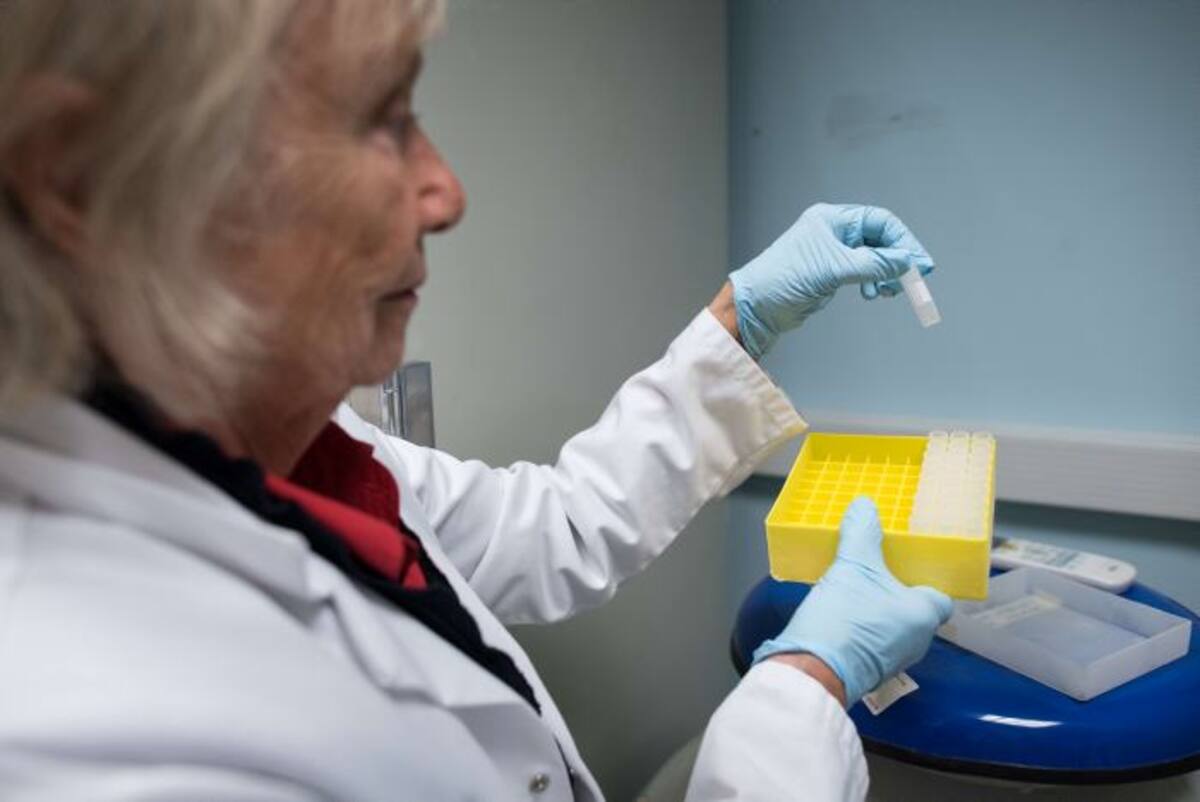 Proyecto liderado por los británicos un llamado "Frozen Ark" es preservar el ADN de especies en peligro de extinción antes de que desaparezcan cuando la Tierra pasa por lo que los científicos llaman la sexta extinción en masa. AFP
