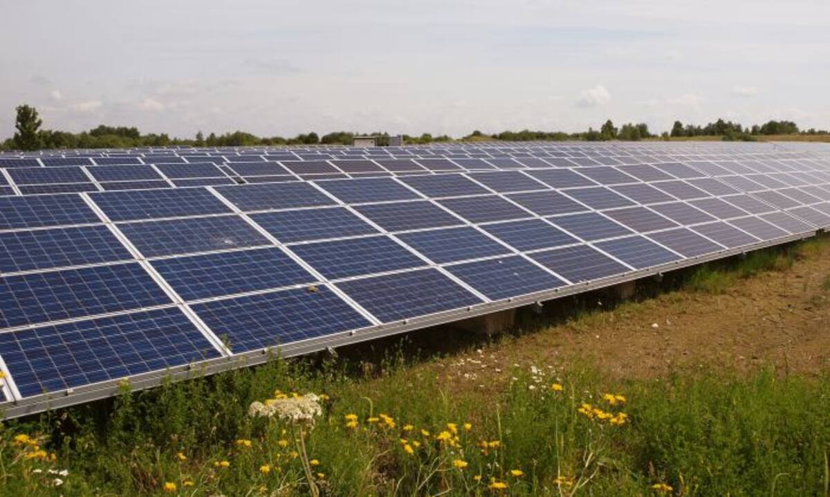 Sistemas de paneles para una granja solar, a fin de obtener energía renovable de autoconsumo.