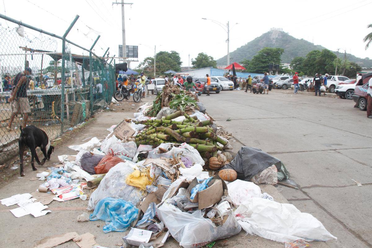 ¿Cartagena está llena de basura? Van más de 270.023 toneladas recolectadas en 2021