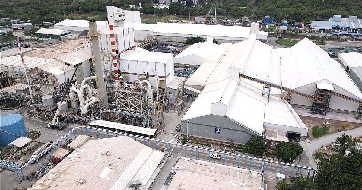 Yara's plant in Cartagena expands: how it will change fertilizer supply in Colombia