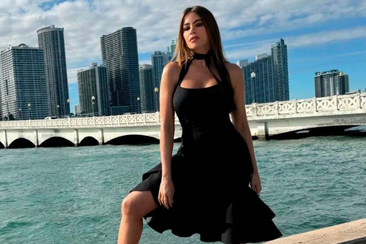 ¿Villana infantil? Este es el nuevo trabajo actoral de Sofía Vergara