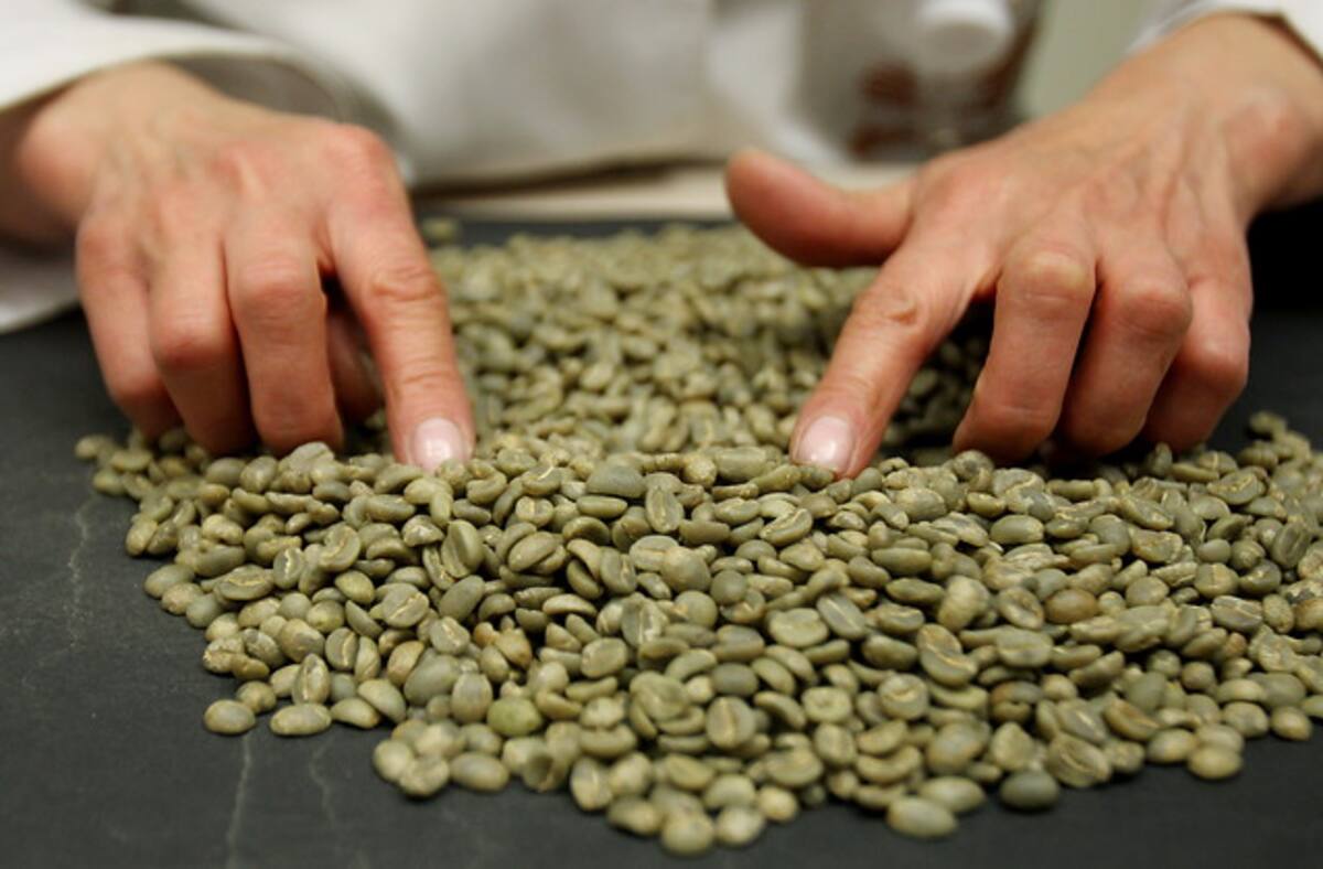 Los análisis distinguen aspectos como cambios de la composición química del grano dependiendo de la región productora, que se observan cuando la muestra pasa por el escáner. Colprensa