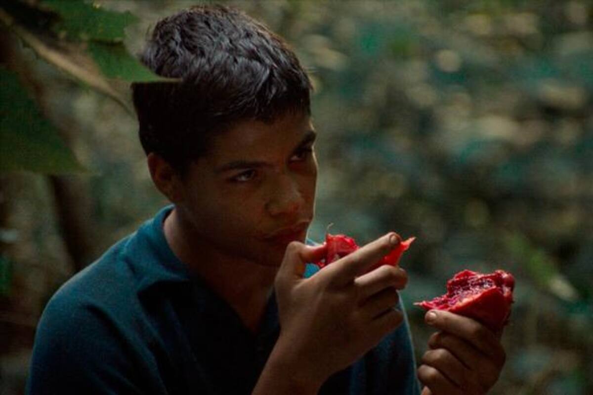 ‘La Jauría’ llega a las salas de cine en Colombia, ¿de qué se trata?