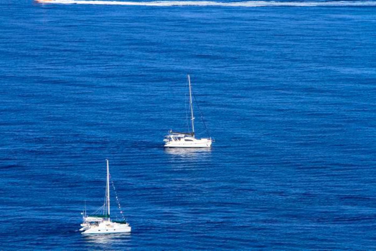 Embarcaciones que lleguen a Cartagena serán revisadas por alerta de COVID-19