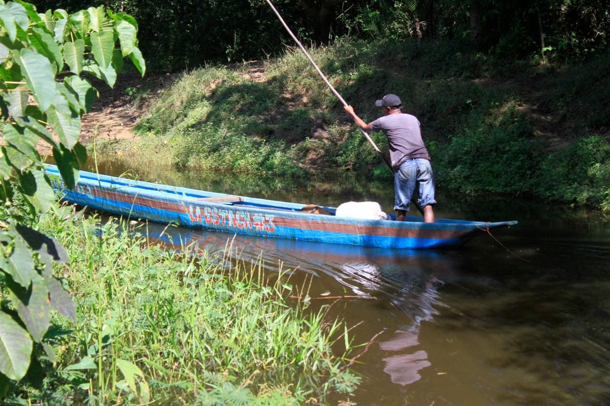 Los humedales y arroyos están intercomunicados con la ciénaga de San Pablo.