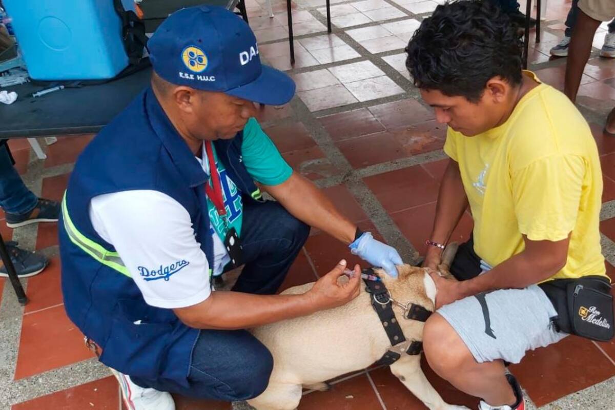 Más de 150 mascotas se beneficiaron de jornadas de salud del Dadis