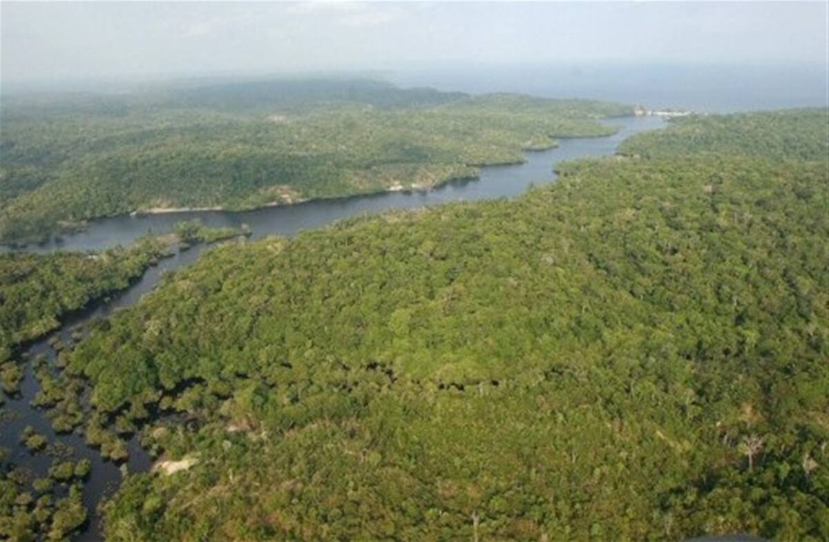 Floresta amazónica brasileña. AP