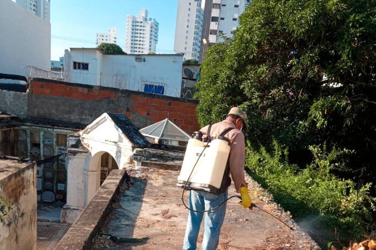 Fumigan y retiran maleza del cementerio de Manga