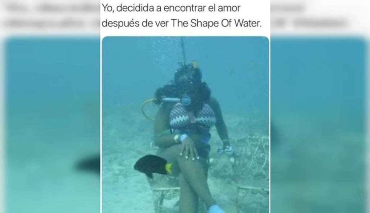 Tomado de Internet